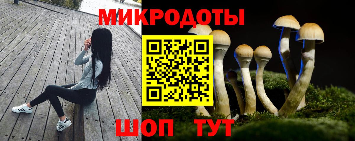 Галлюциногенные грибы мухоморы  наркошоп  Знаменск  Псилоцибиновые грибы Magic Shrooms  Вход с VPN 