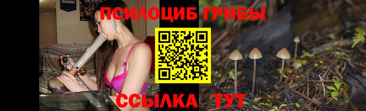 Галлюциногенные грибы ЛСД Знаменск